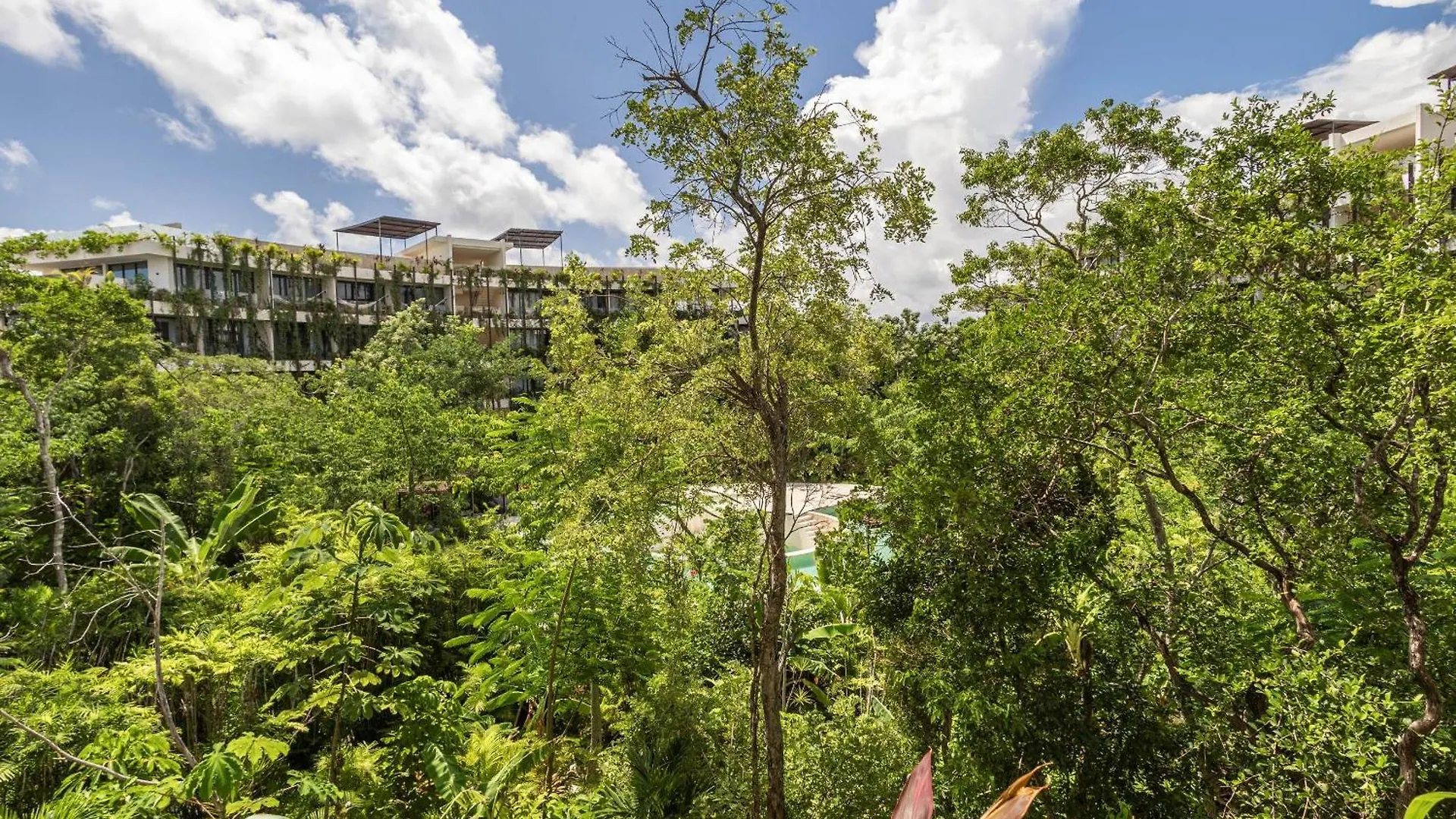 Cozy Studio In The Jungle, Balcony And Pool View Tulum Apartment